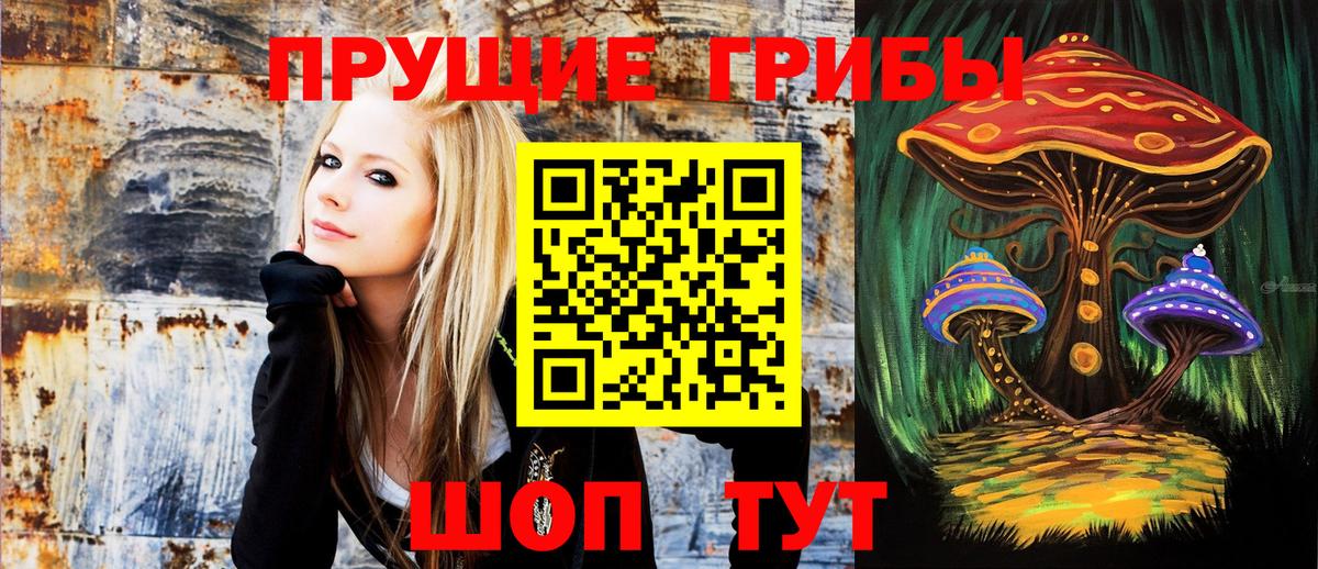 Галлюциногенные грибы ЛСД Вольск