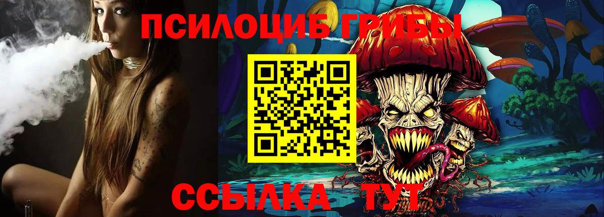 Вольск  Псилоцибиновые грибы Magic Shrooms  Вход с VPN 